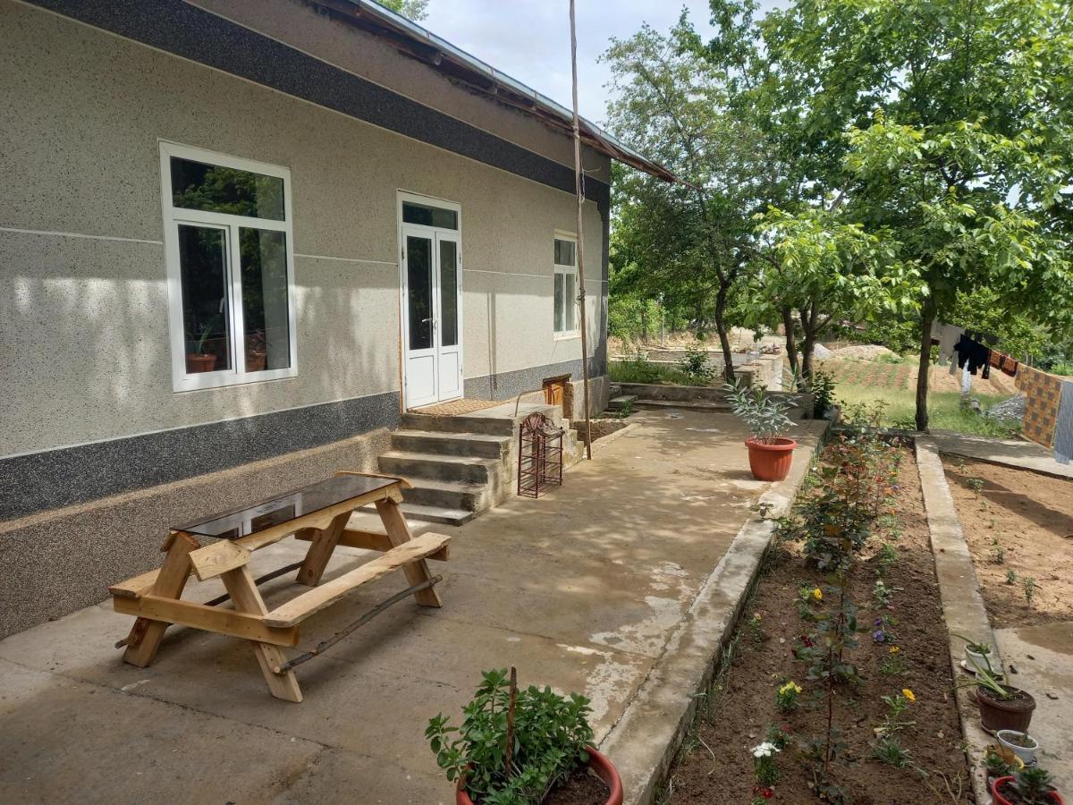 Forest Guest House Mirzakishlak Buitenkant foto