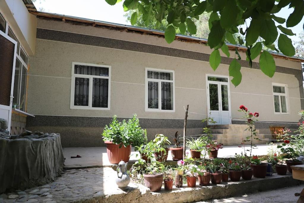 Forest Guest House Mirzakishlak Buitenkant foto